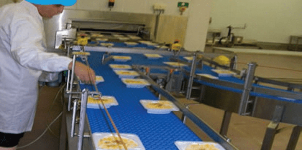 Meals Inspection Conveyor